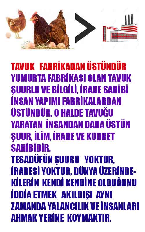 ALLAH, Allahin varlığının delilleri nelerdir?, allahin delilleri, allah in delilleri, allah-delilleri, allah var, #allah