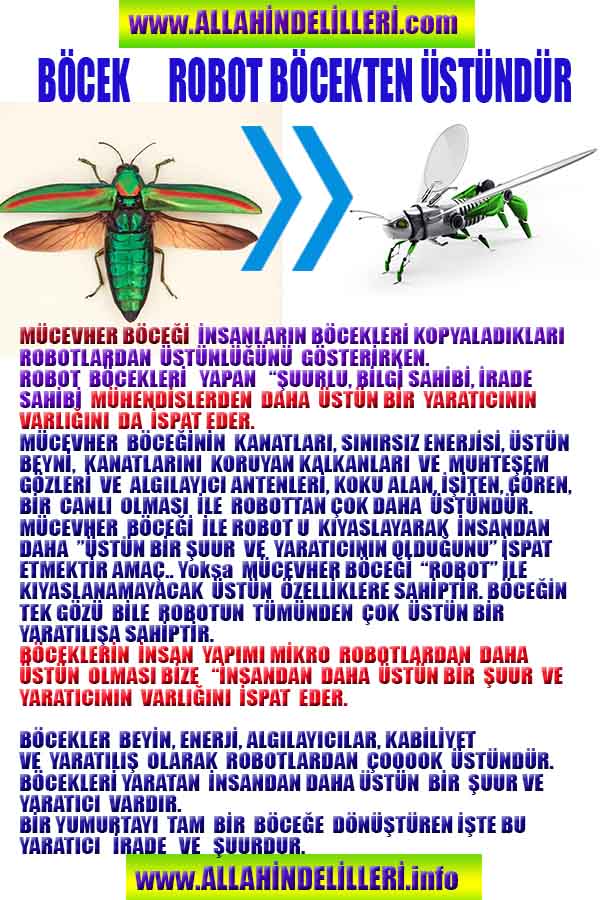 ALLAH, Allahin varlığının delilleri nelerdir?, allahin delilleri, allah in delilleri, allah-delilleri, allah var, #allah