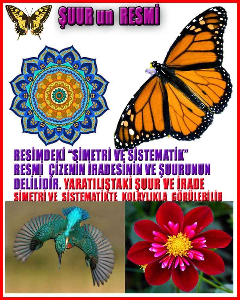 ALLAH, Allahin varlığının delilleri nelerdir?, allahin delilleri, allah in delilleri, allah-delilleri, allah var, #allah