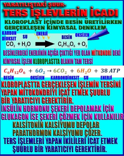 Allahin varlığının delilleri nelerdir?, allahin delilleri, allah in delilleri, allah-delilleri, allah var, #allah