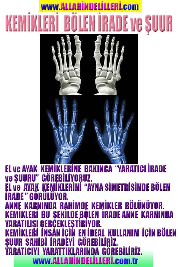 Allahin varlığının delilleri nelerdir?, allahin delilleri, allah in delilleri, allah-delilleri, allah var, #allah