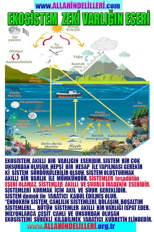 ALLAH, Allahin varlığının delilleri nelerdir?, allahin delilleri, allah in delilleri, allah-delilleri, allah var, #allah