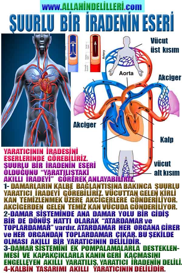 Allahin varlığının delilleri nelerdir?, allahin delilleri, allah in delilleri, allah-delilleri, allah var, #allah