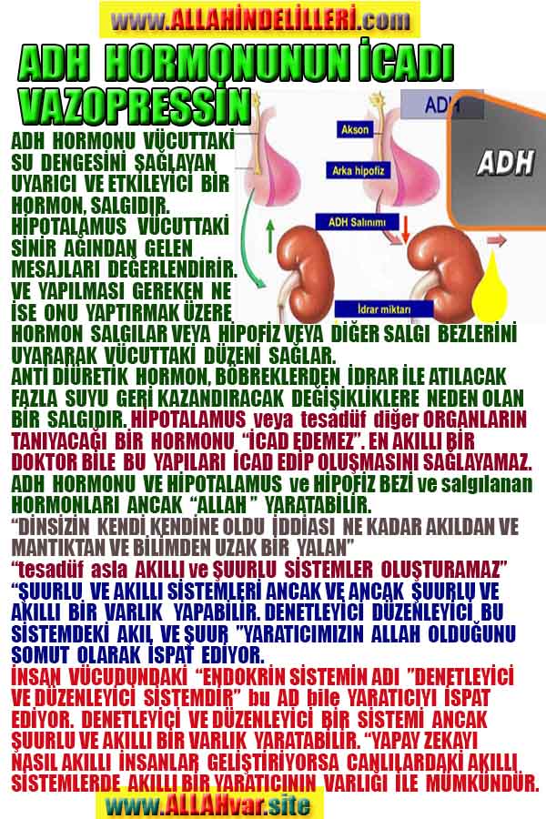 ALLAH, Allahin varlığının delilleri nelerdir?, allahin delilleri, allah in delilleri, allah-delilleri, allah var, #allah