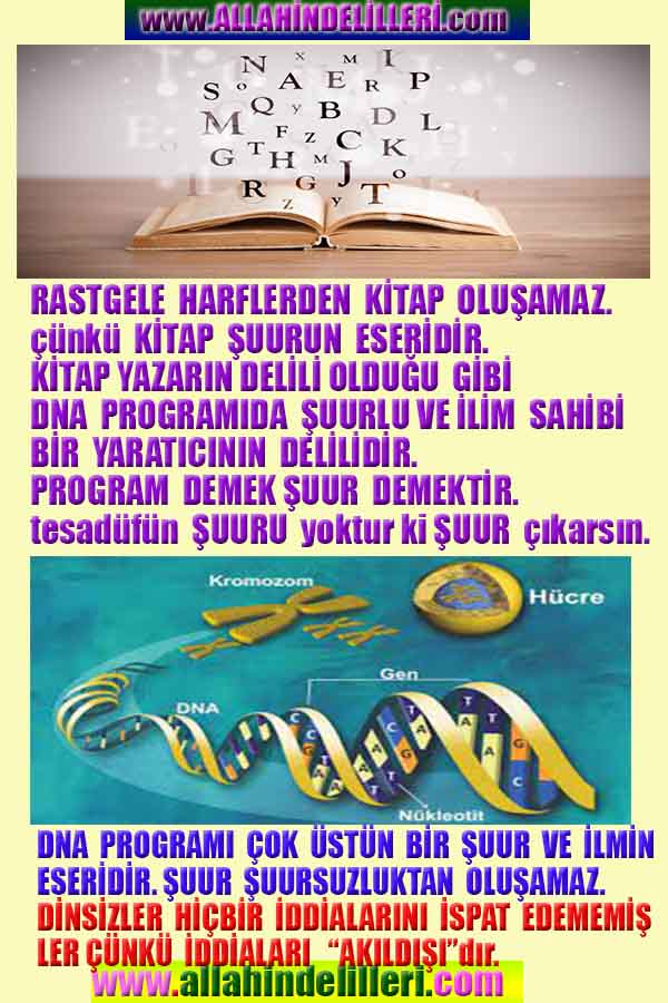 Allahin varlığının delilleri nelerdir?, allahin delilleri, allah in delilleri, allah-delilleri, allah var, #allah