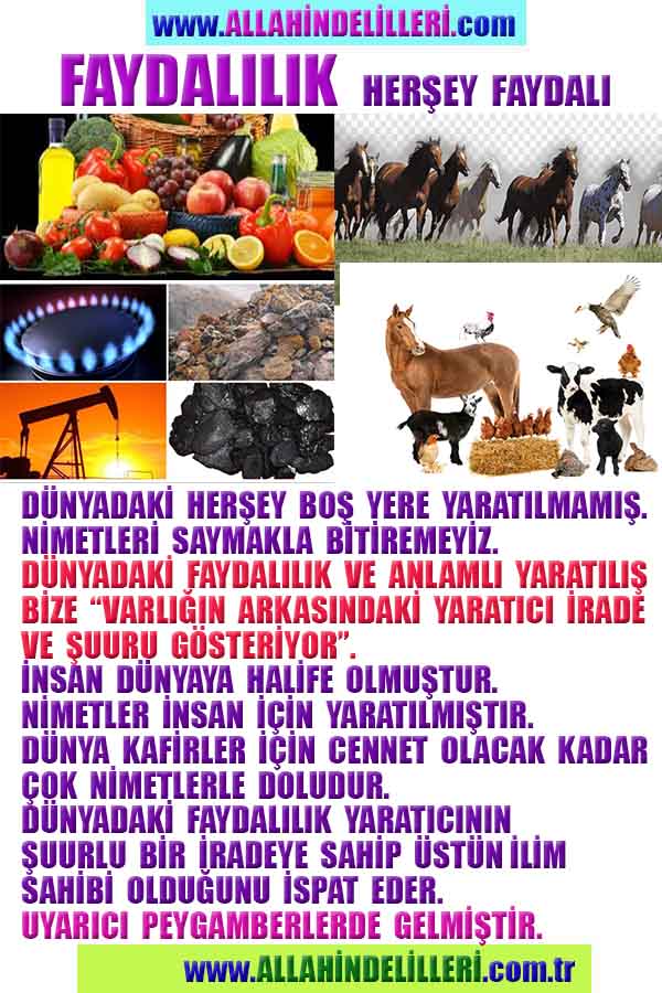 ALLAH, Allahin varlığının delilleri nelerdir?, allahin delilleri, allah in delilleri, allah-delilleri, allah var, #allah