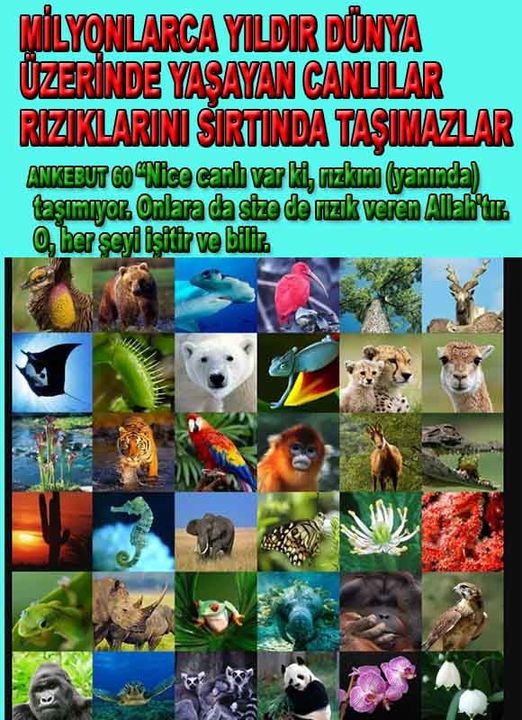 Allahin varlığının delilleri nelerdir?, allahin delilleri, allah in delilleri, allah-delilleri, allah var, #allah