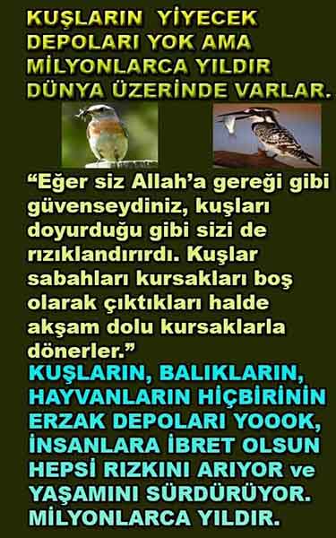ALLAH, Allahin varlığının delilleri nelerdir?, allahin delilleri, allah in delilleri, allah-delilleri, allah var, #allah