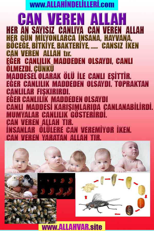 ALLAH, Allahin varlığının delilleri nelerdir?, allahin delilleri, allah in delilleri, allah-delilleri, allah var, #allah