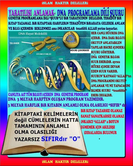 ALLAH, Allahin varlığının delilleri nelerdir?, allahin delilleri, allah in delilleri, allah-delilleri, allah var, #allah