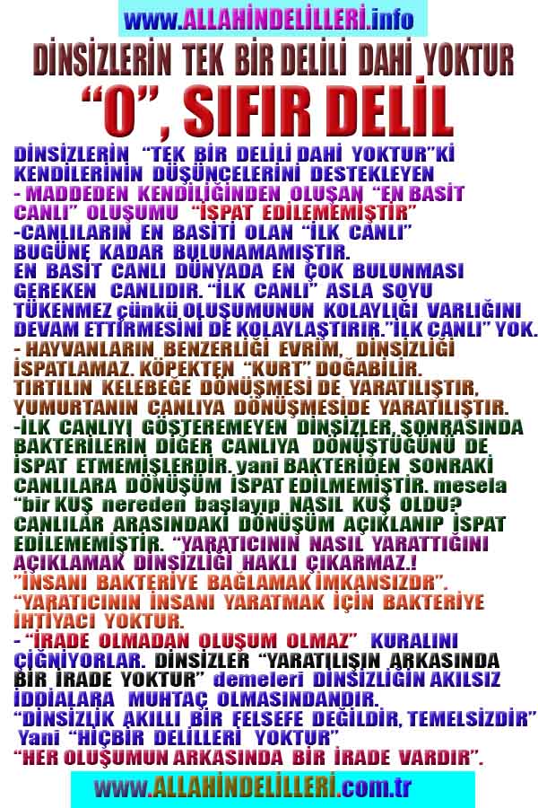 ALLAH, Allahin varlığının delilleri nelerdir?, allahin delilleri, allah in delilleri, allah-delilleri, allah var, #allah