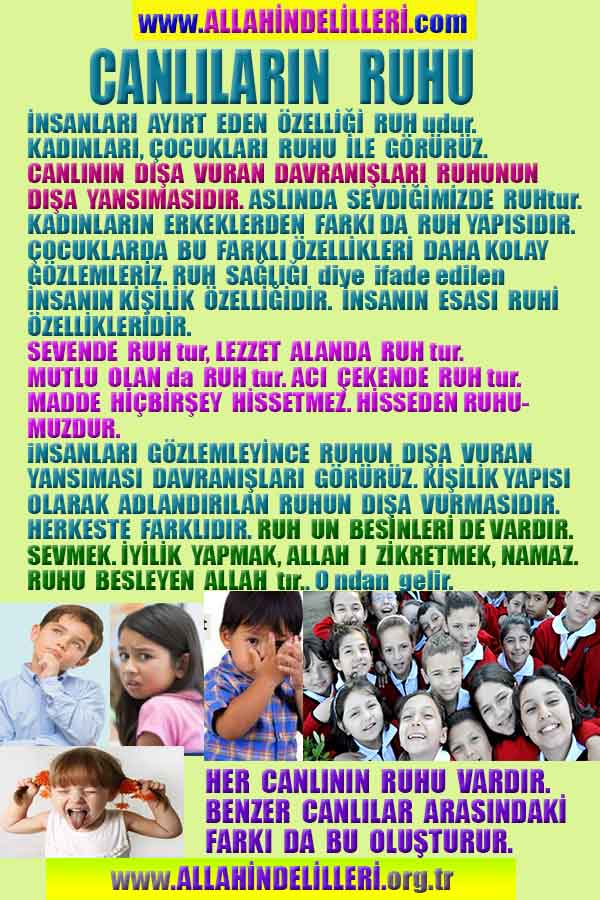 ALLAH, Allahin varlığının delilleri nelerdir?, allahin delilleri, allah in delilleri, allah-delilleri, allah var, #allah