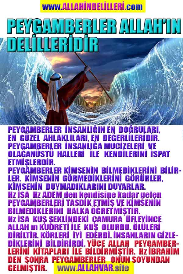 Allahin varlığının delilleri nelerdir?, allahin delilleri, allah in delilleri, allah-delilleri, allah var, #allah