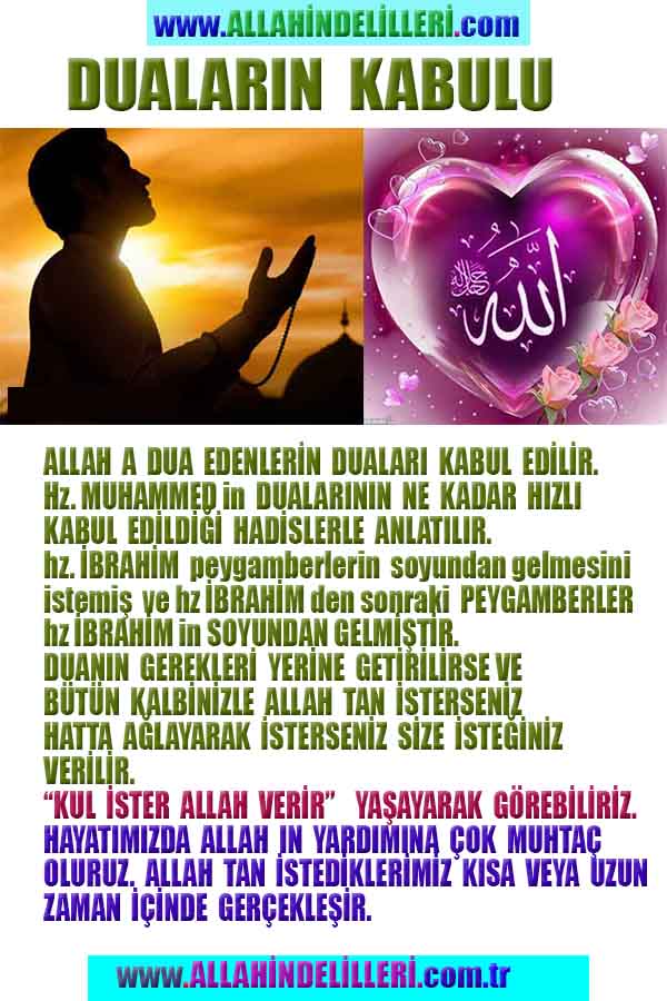 ALLAH, Allahin varlığının delilleri nelerdir?, allahin delilleri, allah in delilleri, allah-delilleri, allah var, #allah