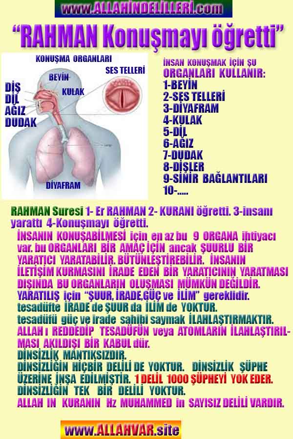 ALLAH, Allahin varlığının delilleri nelerdir?, allahin delilleri, allah in delilleri, allah-delilleri, allah var, #allah