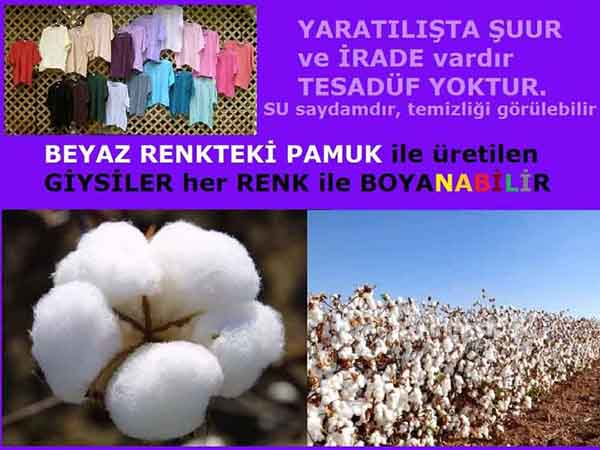 Allahin varlığının delilleri nelerdir?, allahin delilleri, allah in delilleri, allah-delilleri, allah var, #allah